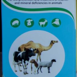 Amivito injection 100ml